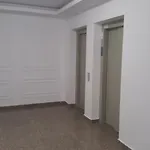 The Horse - De Silva Apartament