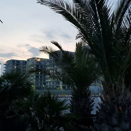 The Horse - De Silva Apartment *