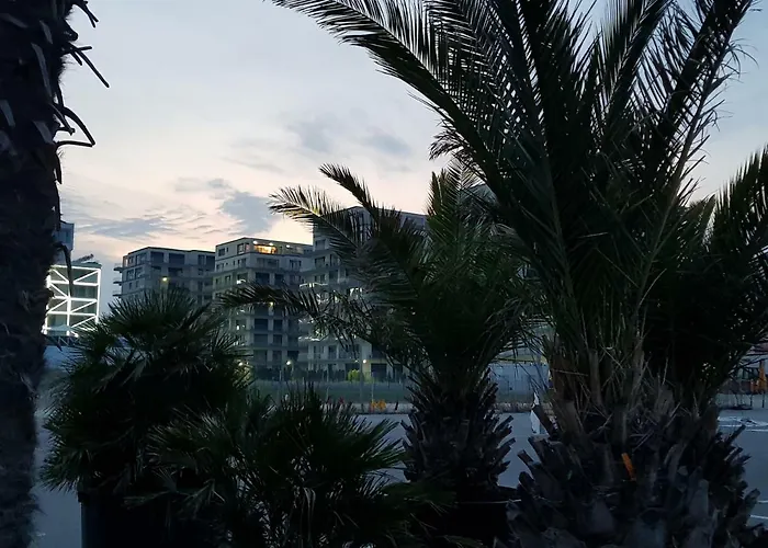 The Horse - De Silva Apartment *